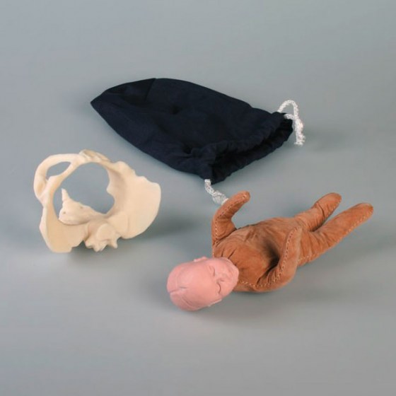 modele-demo-naissance2